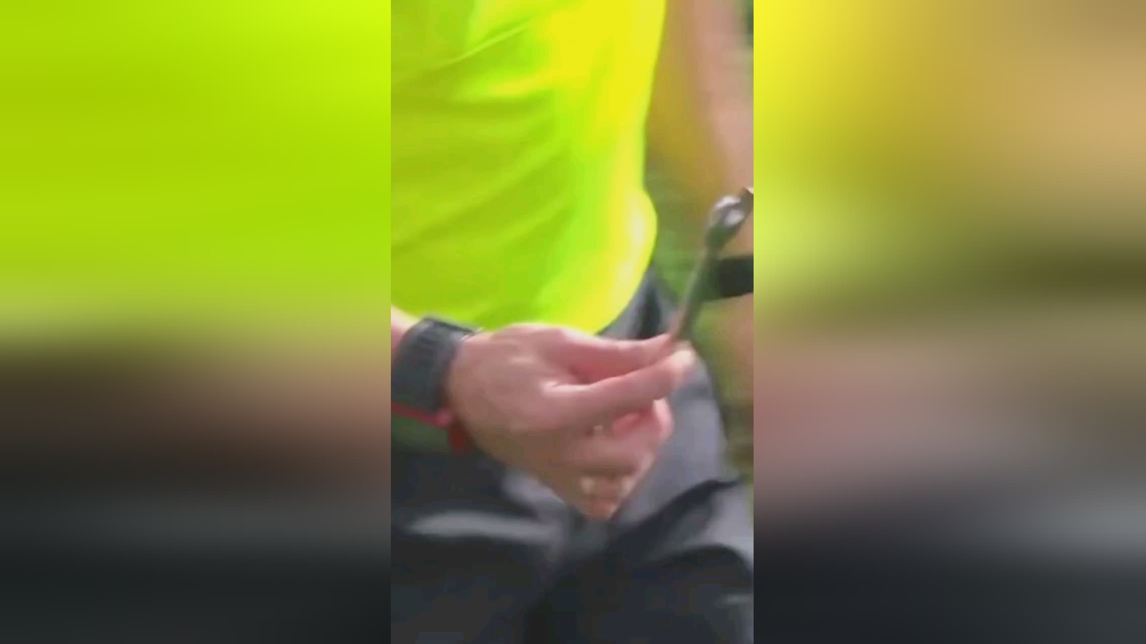 球队提供