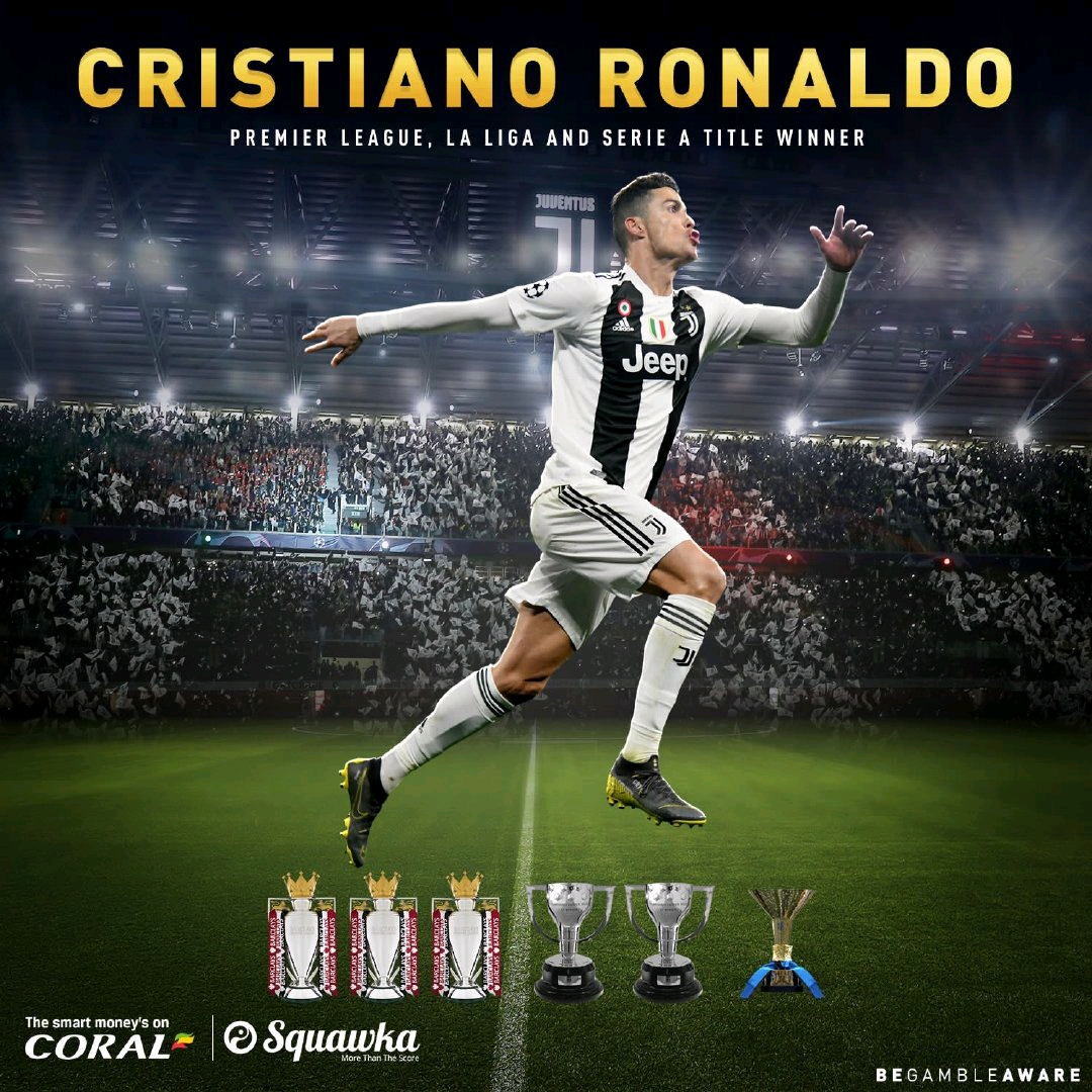 有条不紊的 有条不紊的